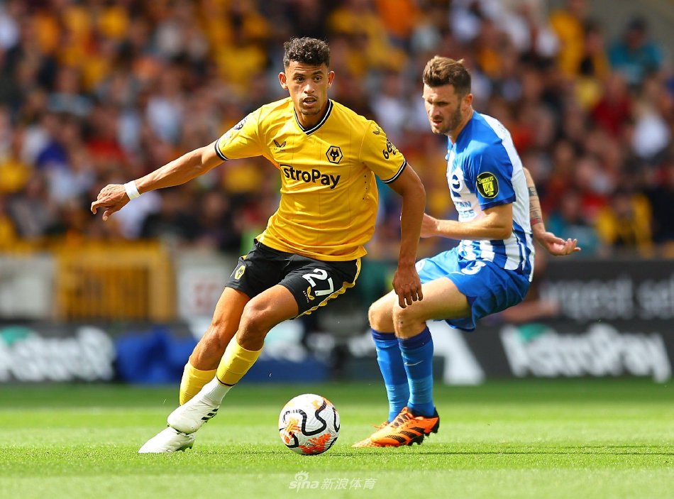 这种战术的 这种战术的