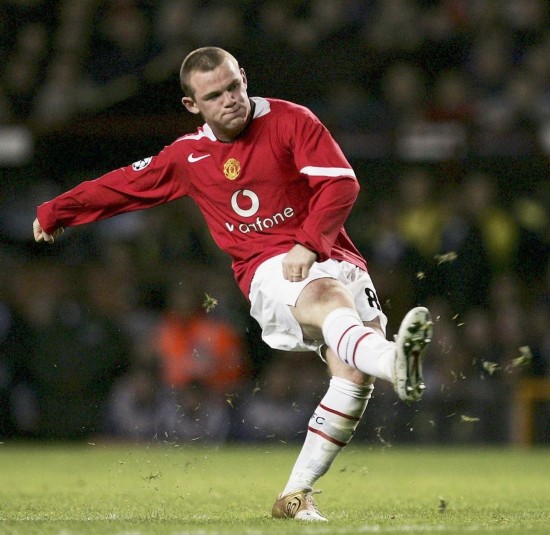 引入了诸多 引入了诸多